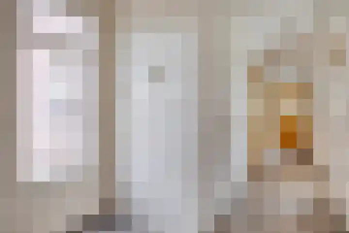 Donkstraat 2 c Meterik thumbnail 32