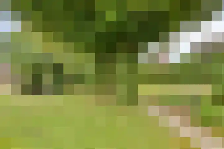 Donkstraat 2 c Meterik thumbnail 4