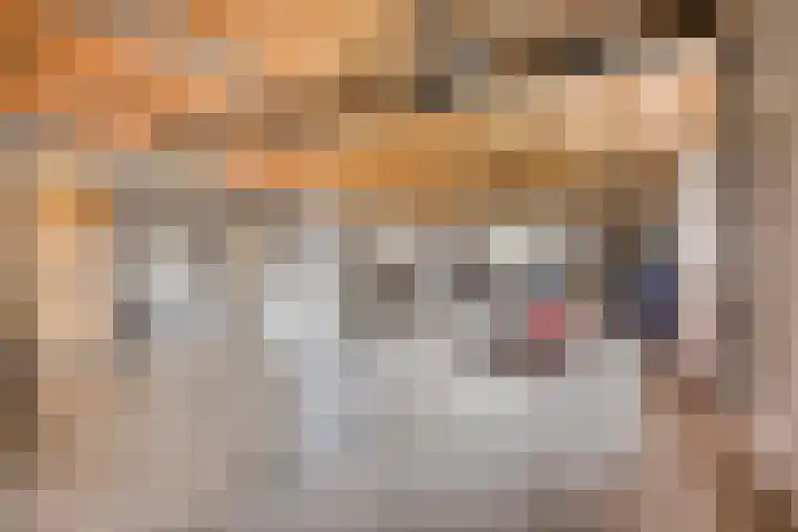 Donkstraat 2 c Meterik thumbnail 53