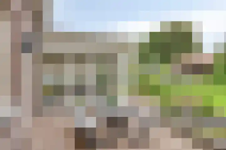 Donkstraat 2 c Meterik thumbnail 56
