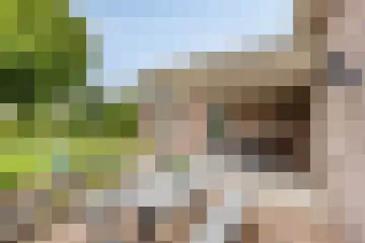 Donkstraat 2 c Meterik thumbnail 57