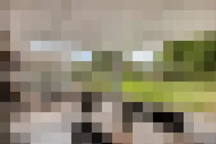Donkstraat 2 c Meterik thumbnail 59