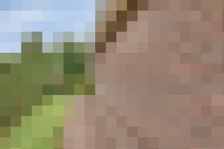 Donkstraat 2 c Meterik thumbnail 61