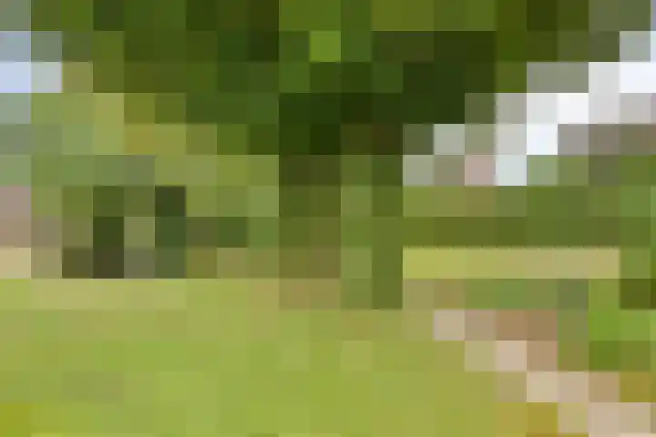 Donkstraat 2 c Meterik thumbnail 63