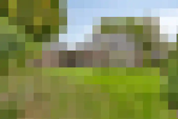 Donkstraat 2 c Meterik thumbnail 67