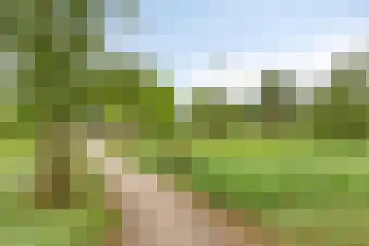 Donkstraat 2 c Meterik thumbnail 70