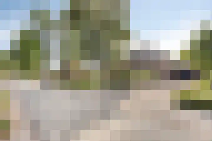 Donkstraat 2 c Meterik thumbnail 8