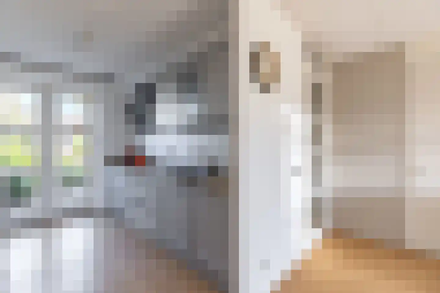 Donkstraat 3 Alkmaar thumbnail 16