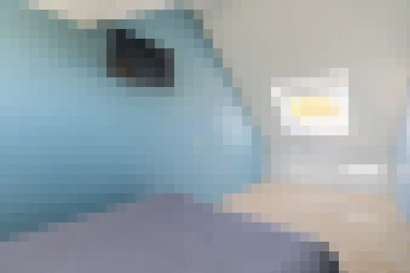 Donkstraat 3 Alkmaar thumbnail 34
