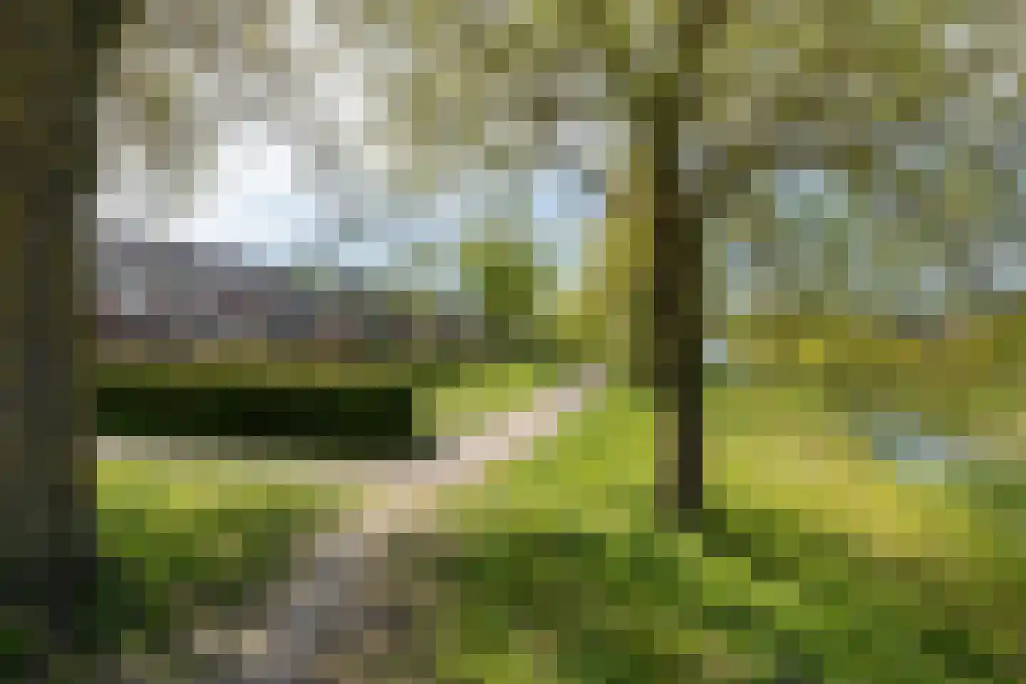 Donkstraat 3 Alkmaar thumbnail 42