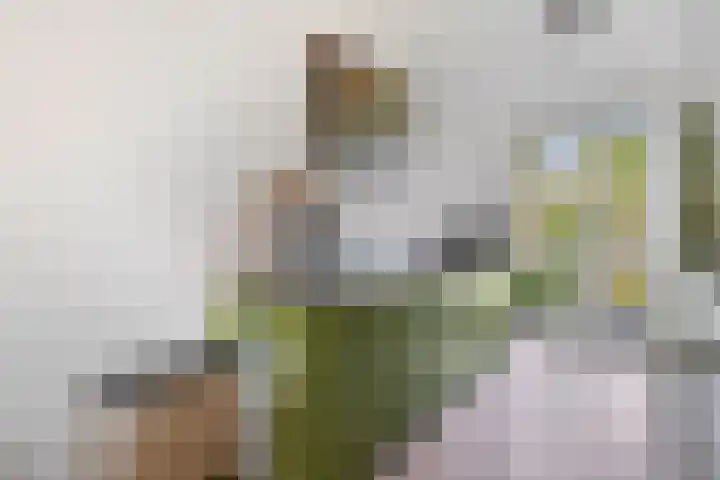 Donkstraat 36 Alkmaar thumbnail 10