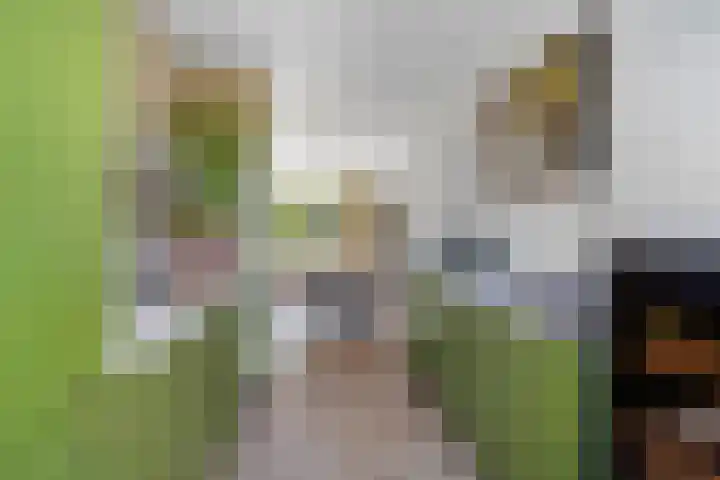Donkstraat 36 Alkmaar thumbnail 11