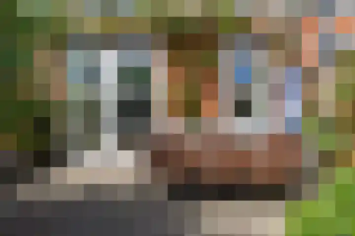Donkstraat 36 Alkmaar thumbnail 26
