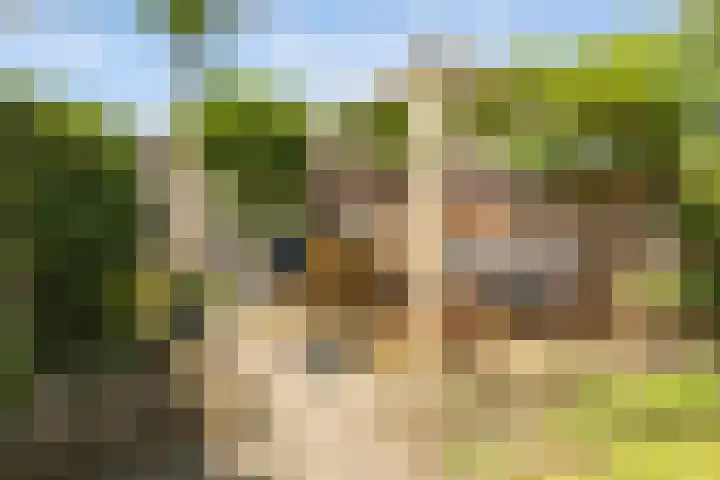 Donkstraat 36 Alkmaar thumbnail 32