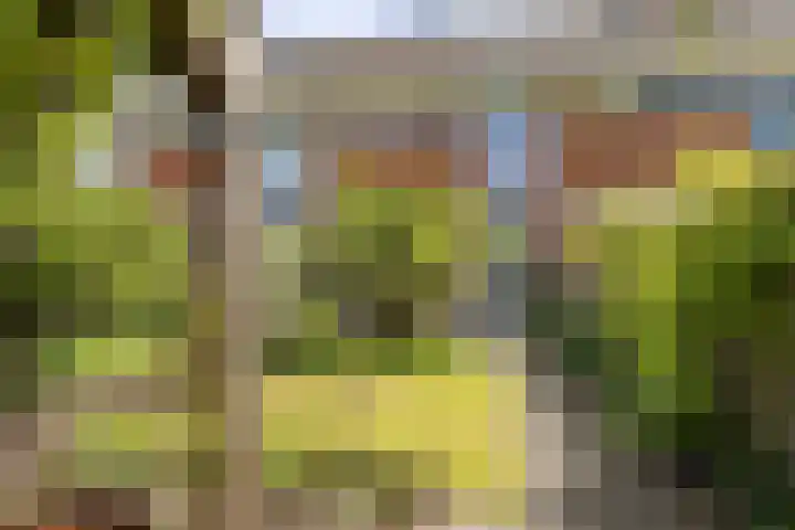 Donkstraat 36 Alkmaar thumbnail 34