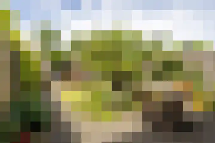 Donkstraat 36 Alkmaar thumbnail 35