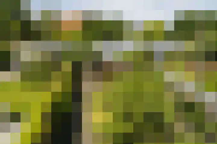 Donkstraat 36 Alkmaar thumbnail 36