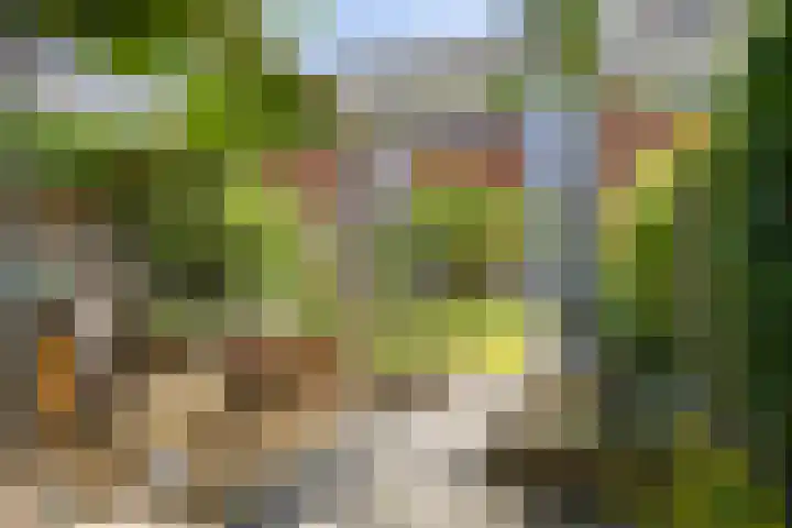 Donkstraat 36 Alkmaar thumbnail 42