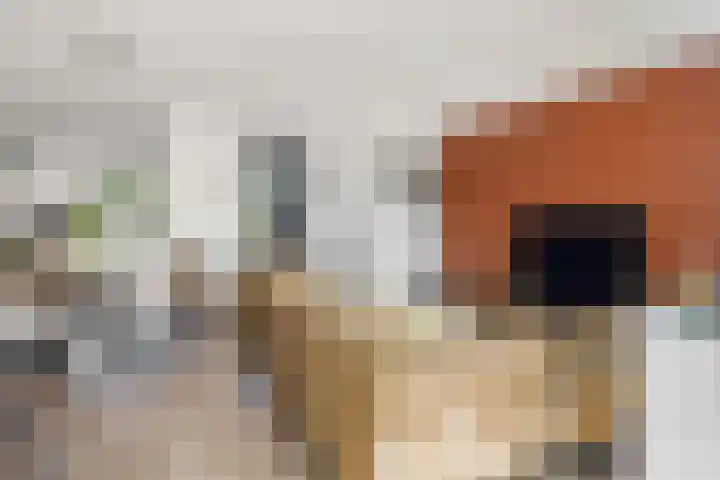 Donkstraat 36 Alkmaar thumbnail 6