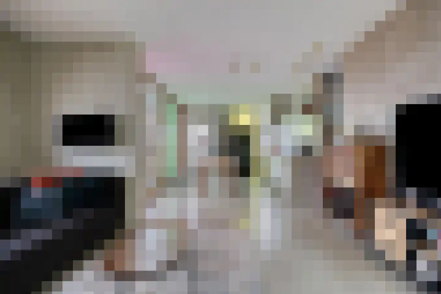 Donkvaart 5 C6 Breda thumbnail 13