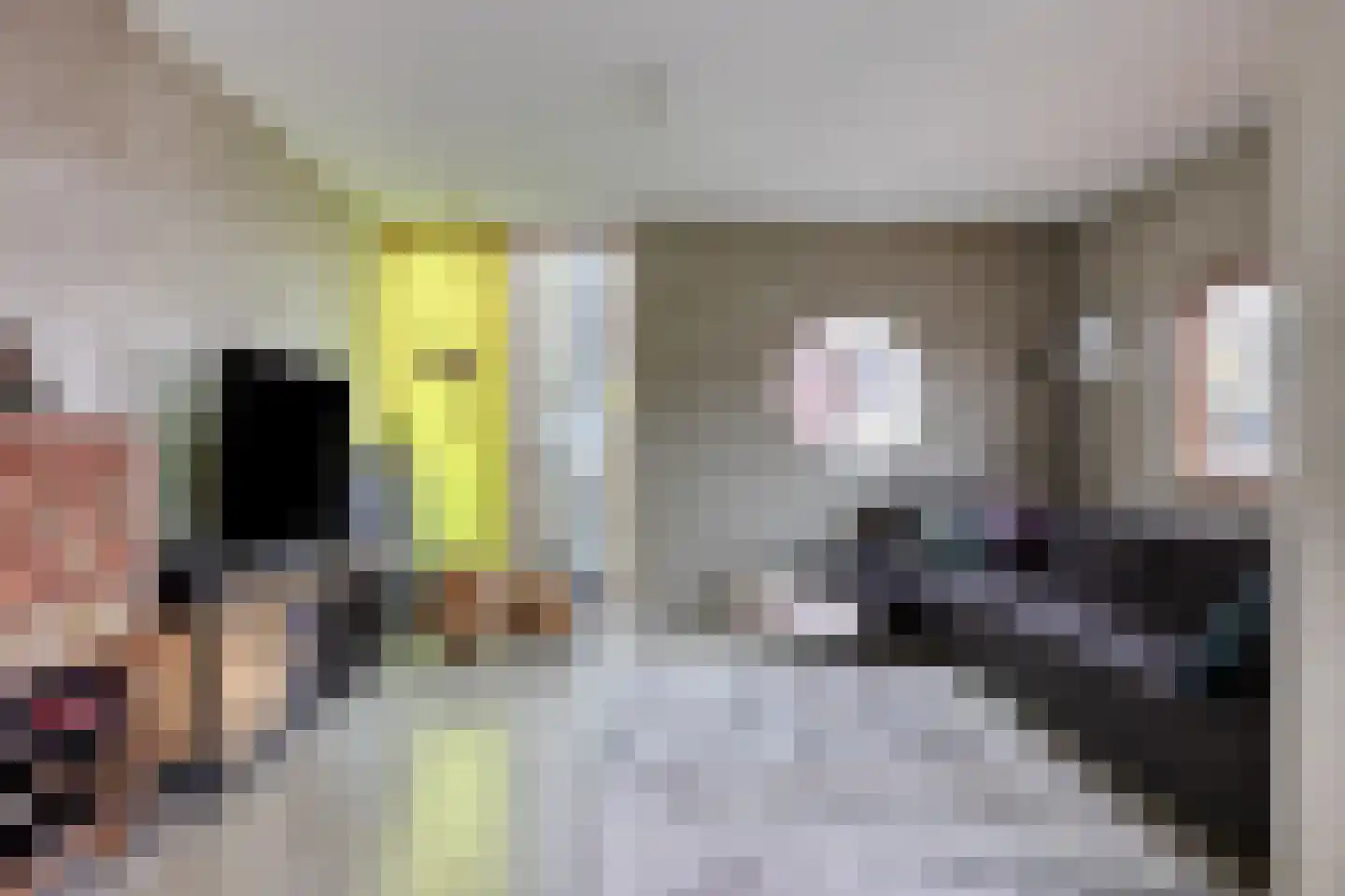 Donkvaart 5 C6 Breda thumbnail 14