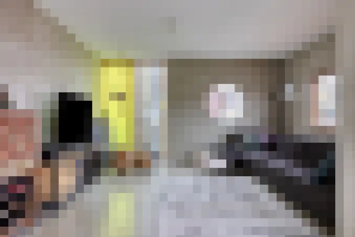 Donkvaart 5 C6 Breda thumbnail 16