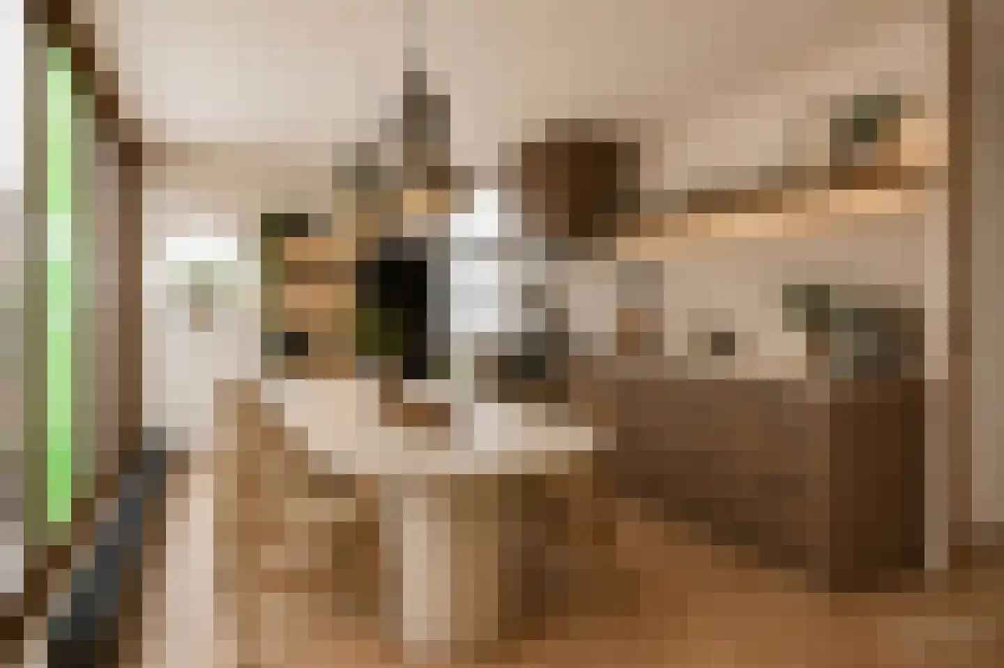 Donkvaart 5 C6 Breda thumbnail 18