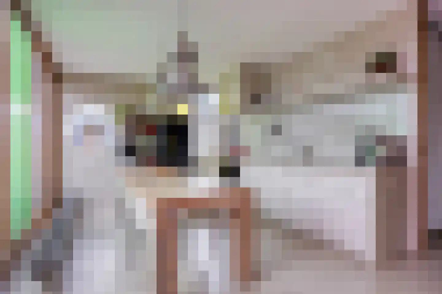Donkvaart 5 C6 Breda thumbnail 20