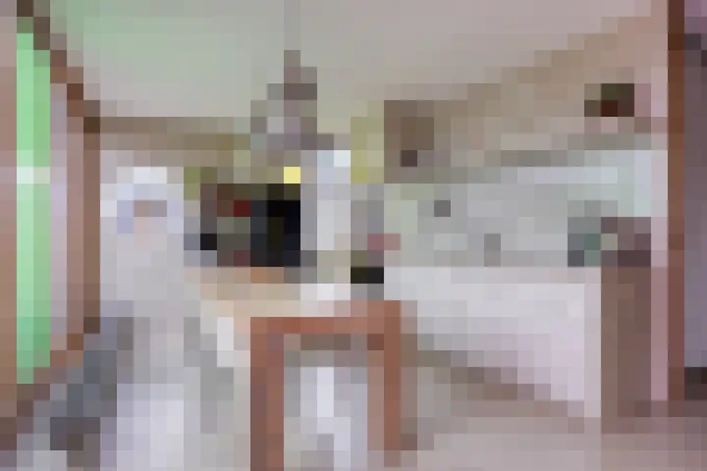 Donkvaart 5 C6 Breda thumbnail 20