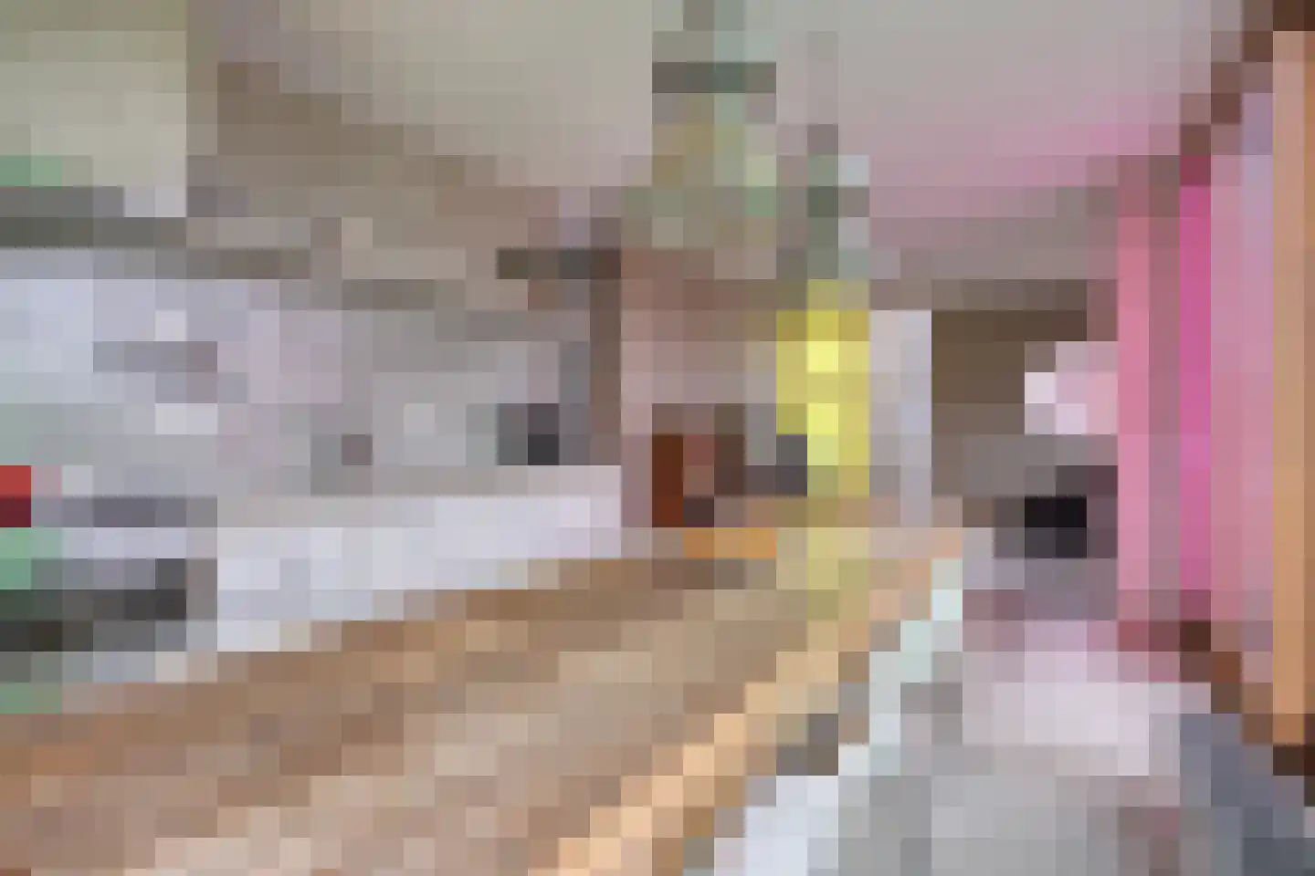 Donkvaart 5 C6 Breda thumbnail 21