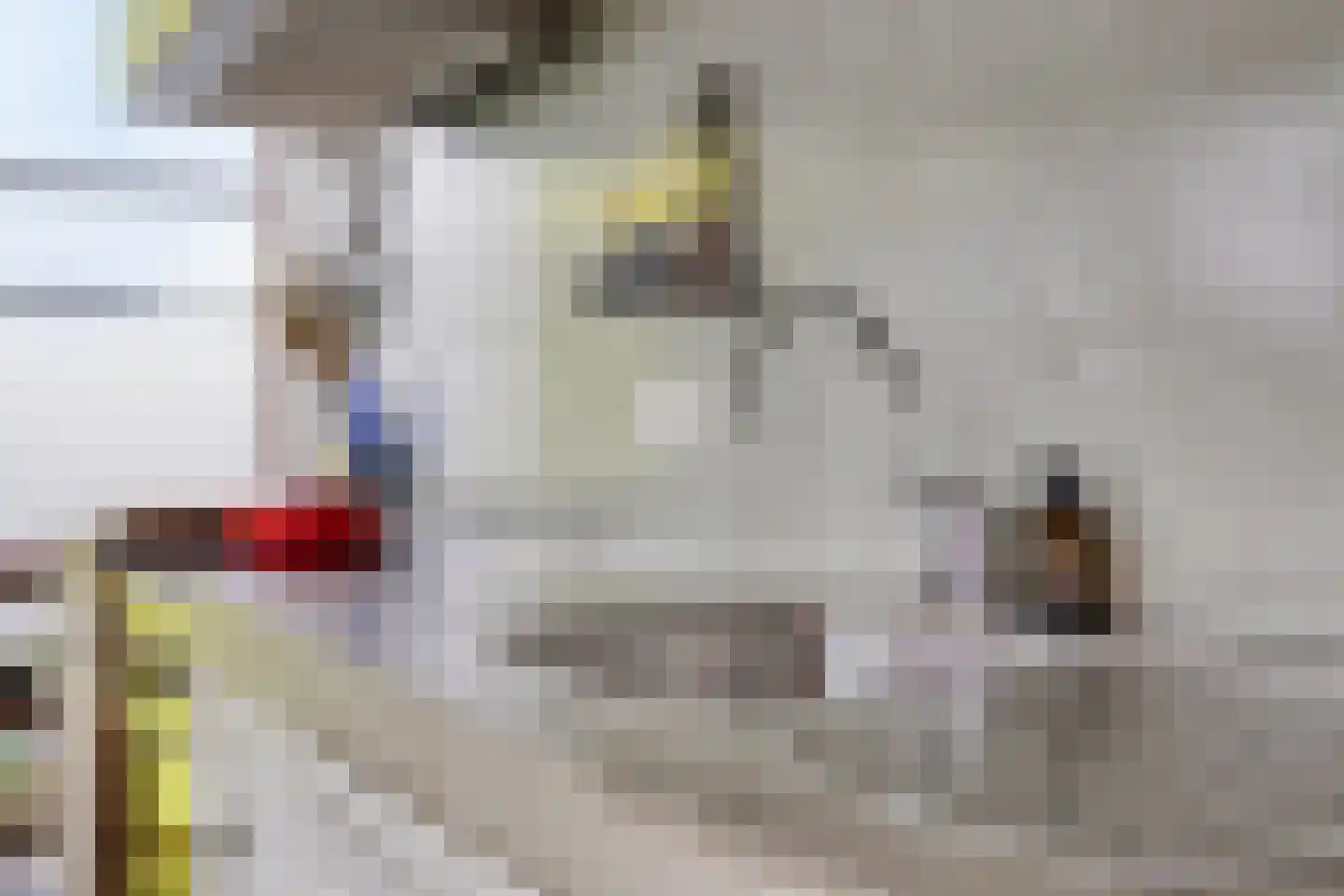 Donkvaart 5 C6 Breda thumbnail 22