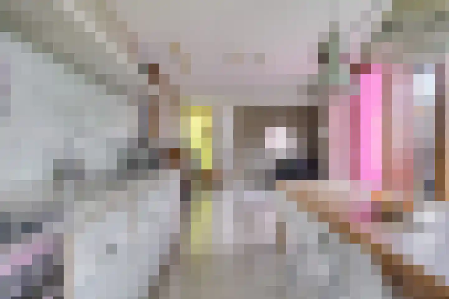 Donkvaart 5 C6 Breda thumbnail 26