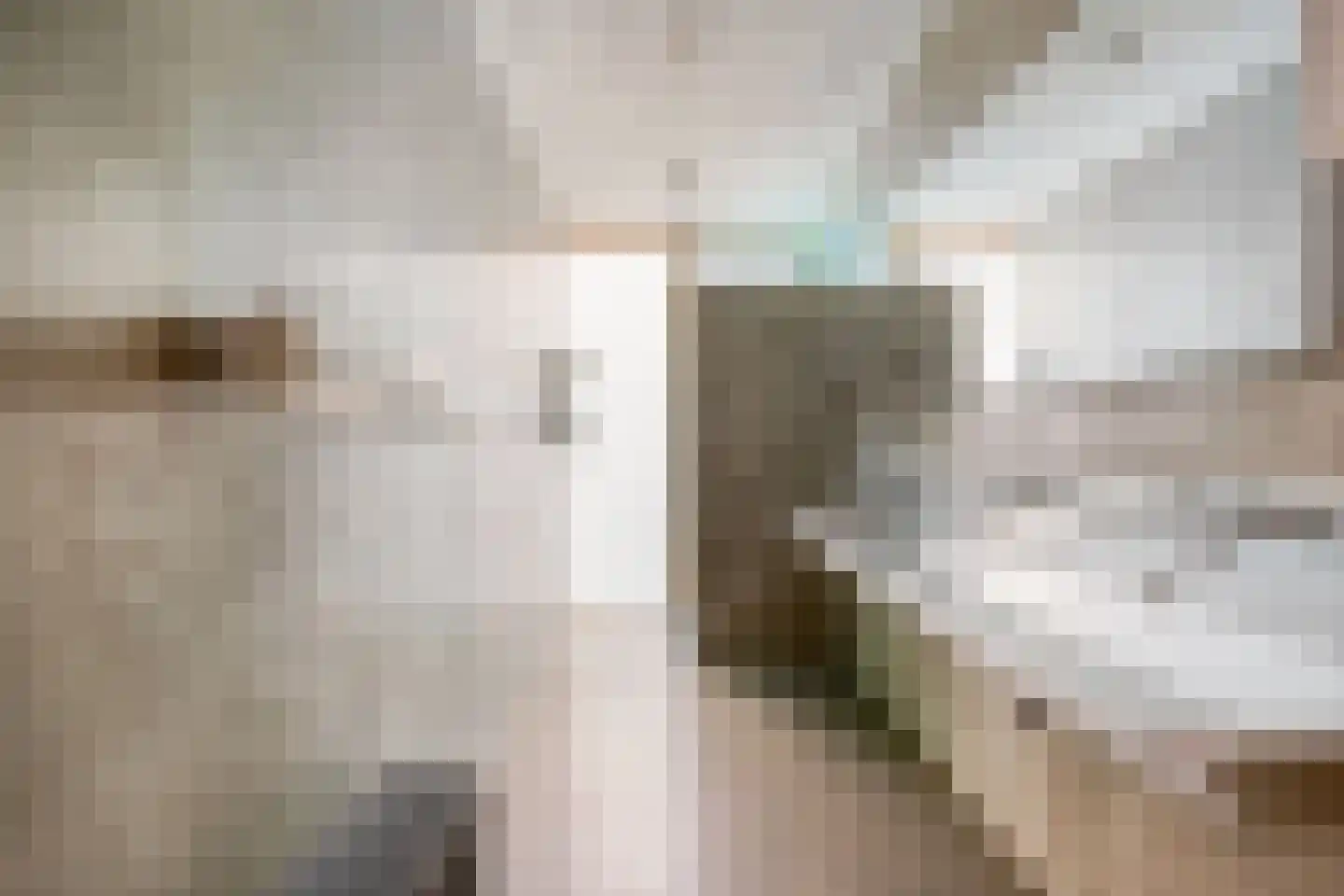 Donkvaart 5 C6 Breda thumbnail 28