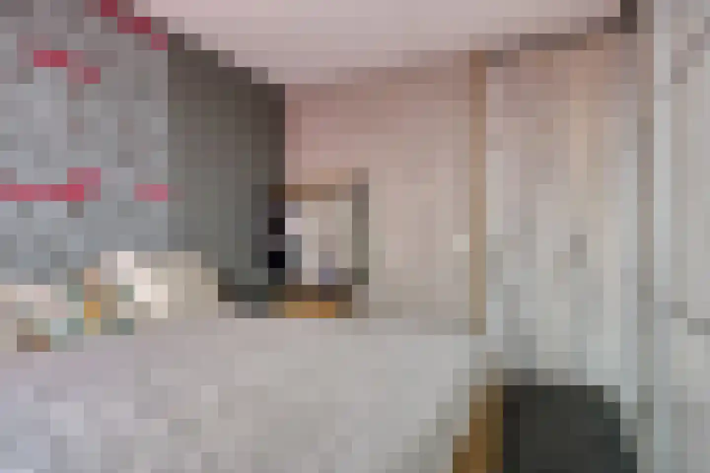 Donkvaart 5 C6 Breda thumbnail 33