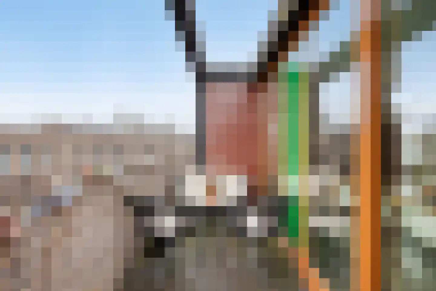 Donkvaart 5 C6 Breda thumbnail 4