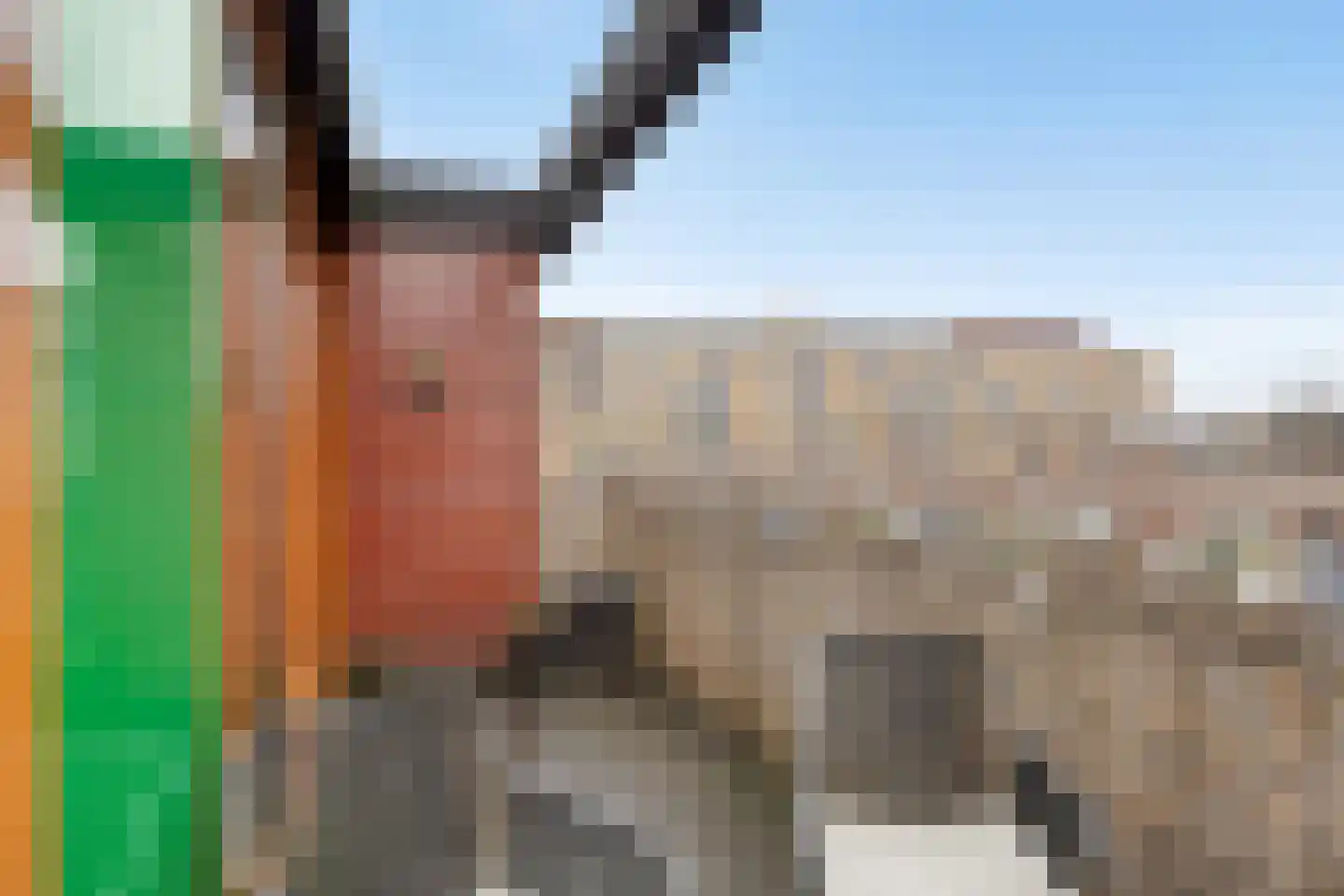 Donkvaart 5 C6 Breda thumbnail 40