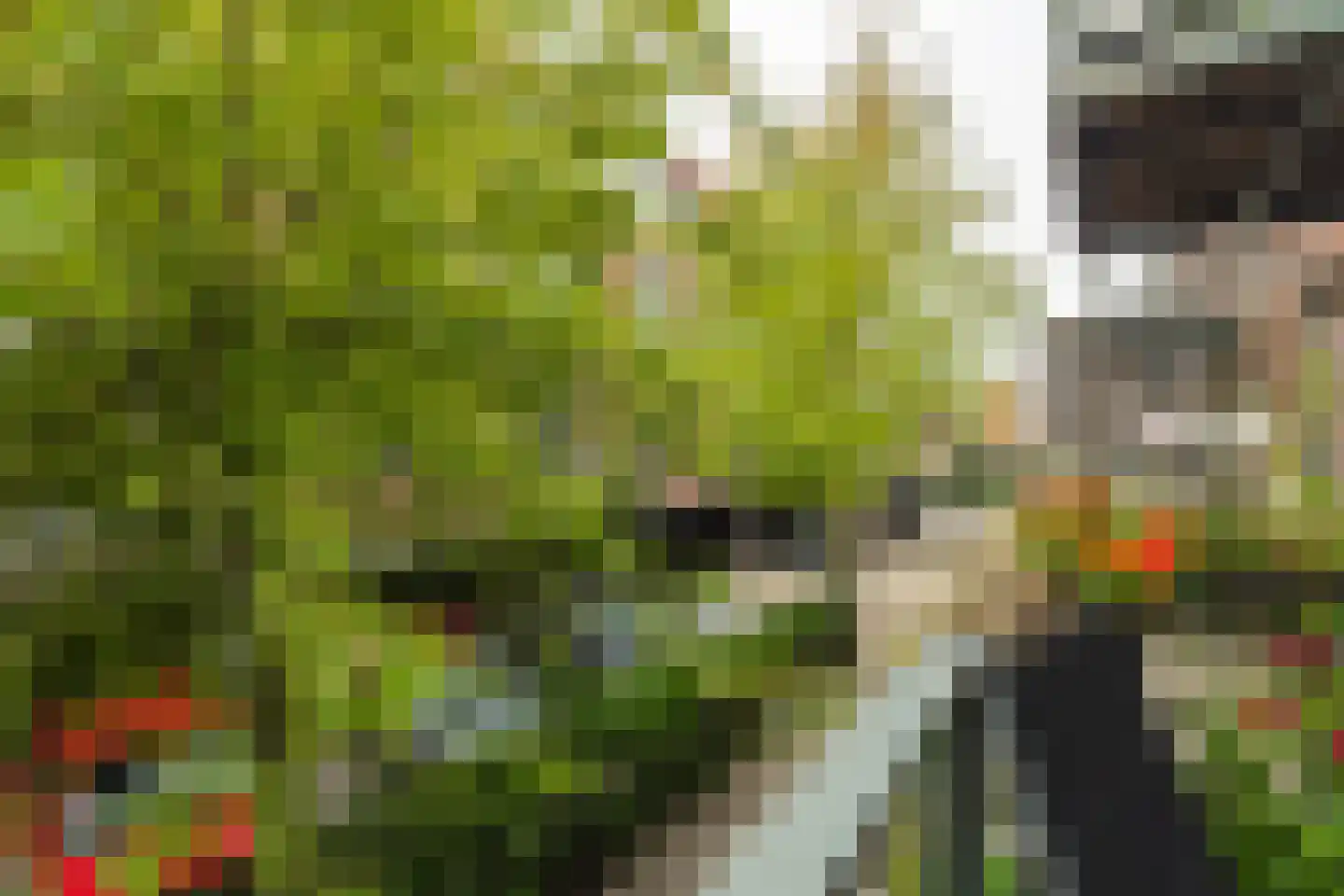 Donkvaart 7 B6 Breda thumbnail 27