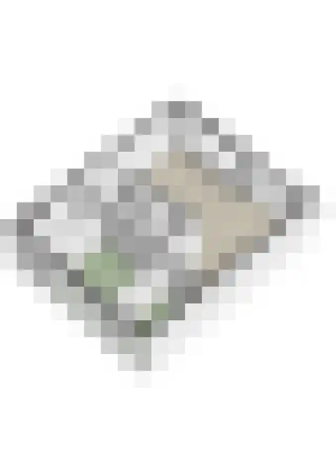 Donkvaart 7 B6 Breda thumbnail 34