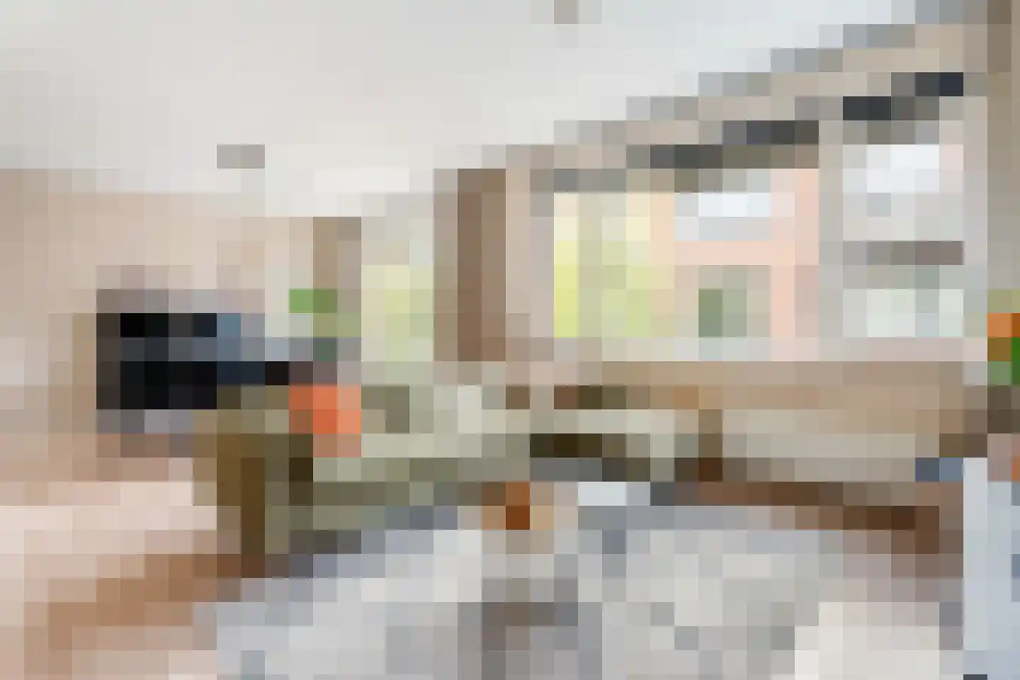Donkvaart 7 C9 Breda thumbnail 12