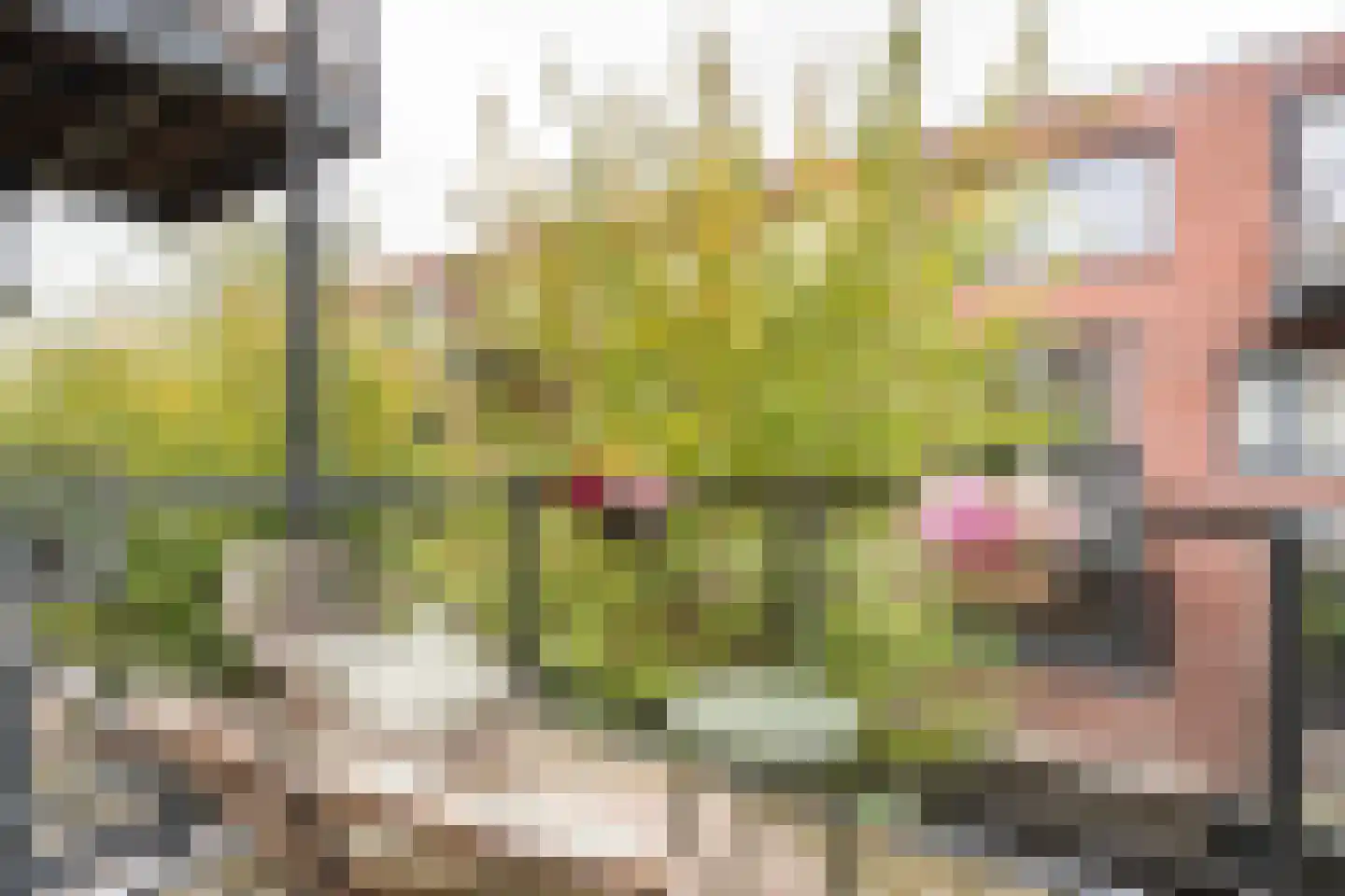 Donkvaart 7 C9 Breda thumbnail 18