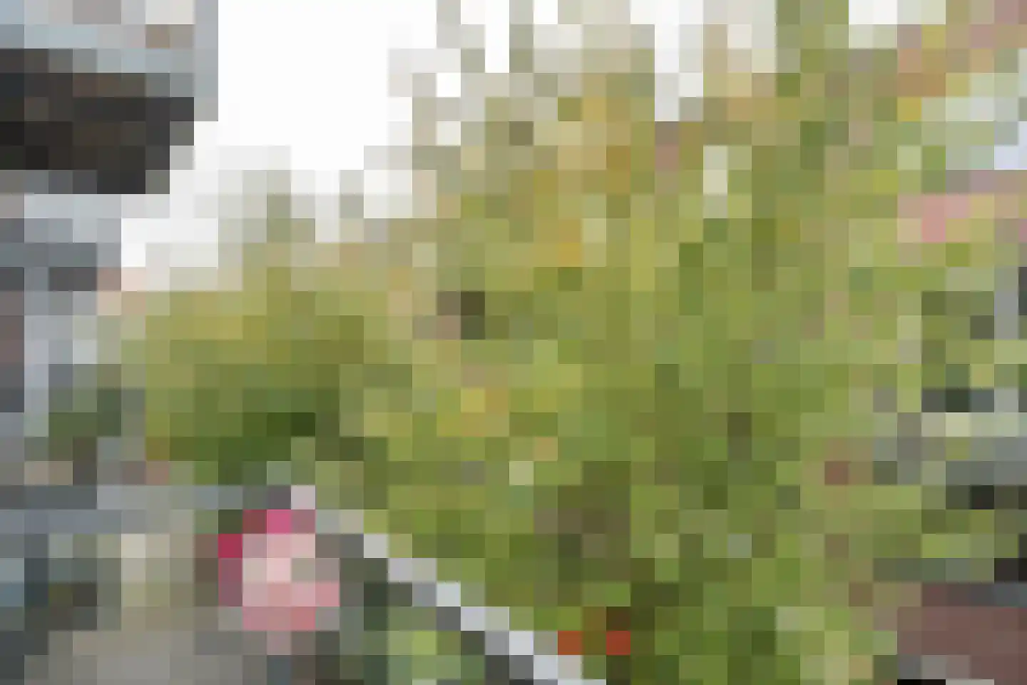 Donkvaart 7 C9 Breda thumbnail 20