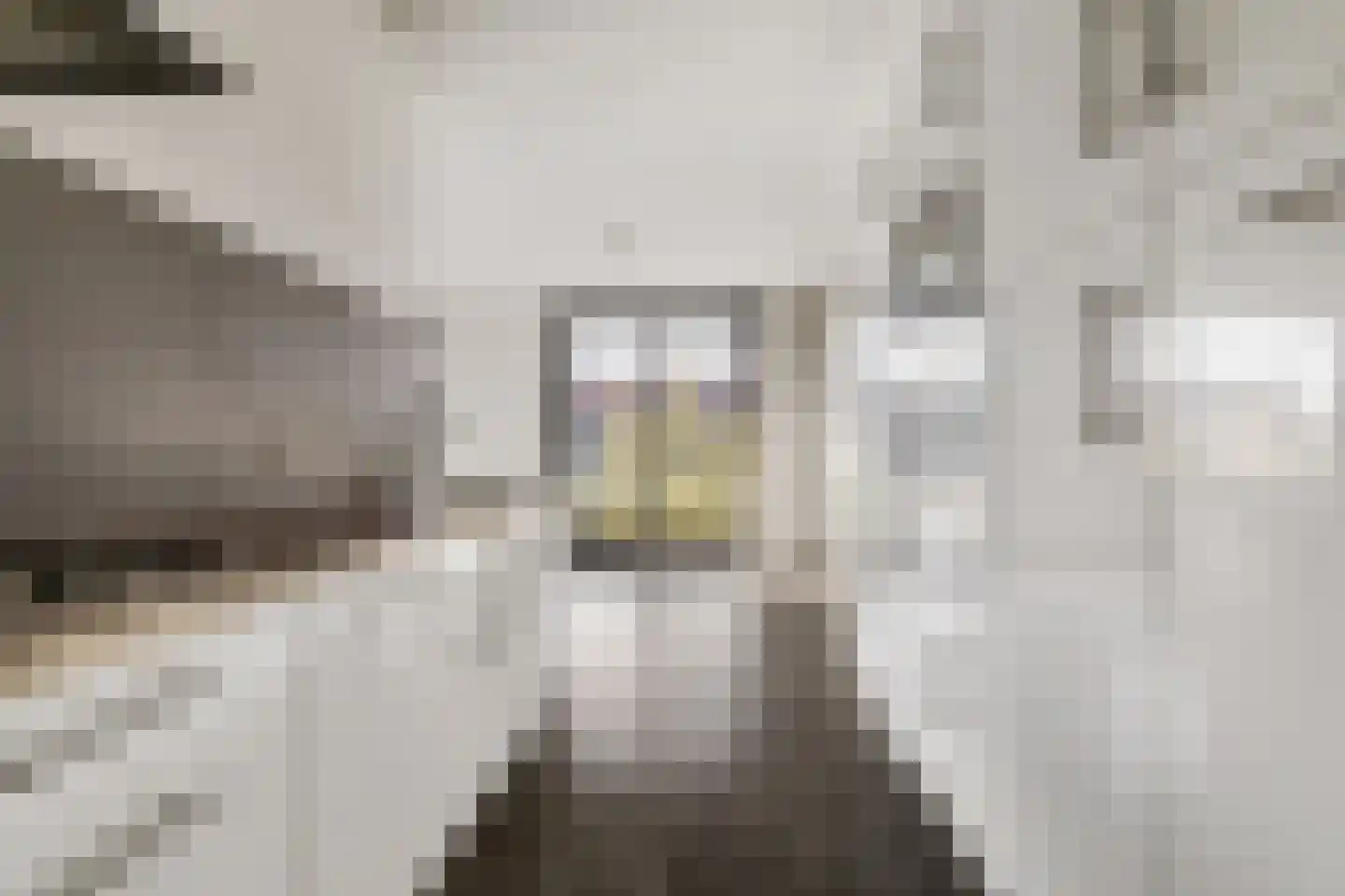 Donkvaart 7 D16 Breda thumbnail 13