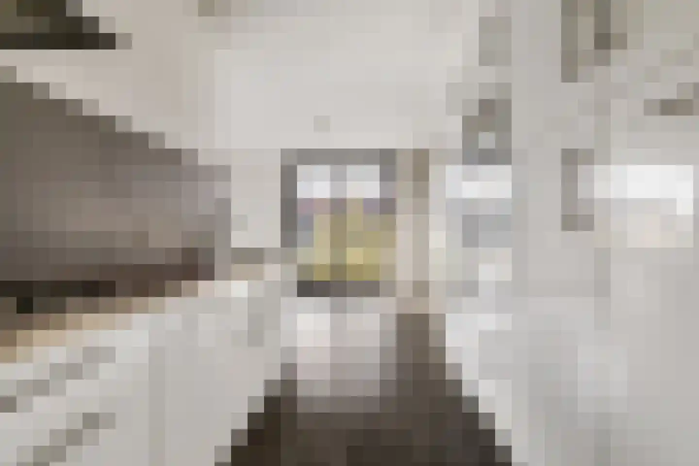 Donkvaart 7 D16 Breda thumbnail 5
