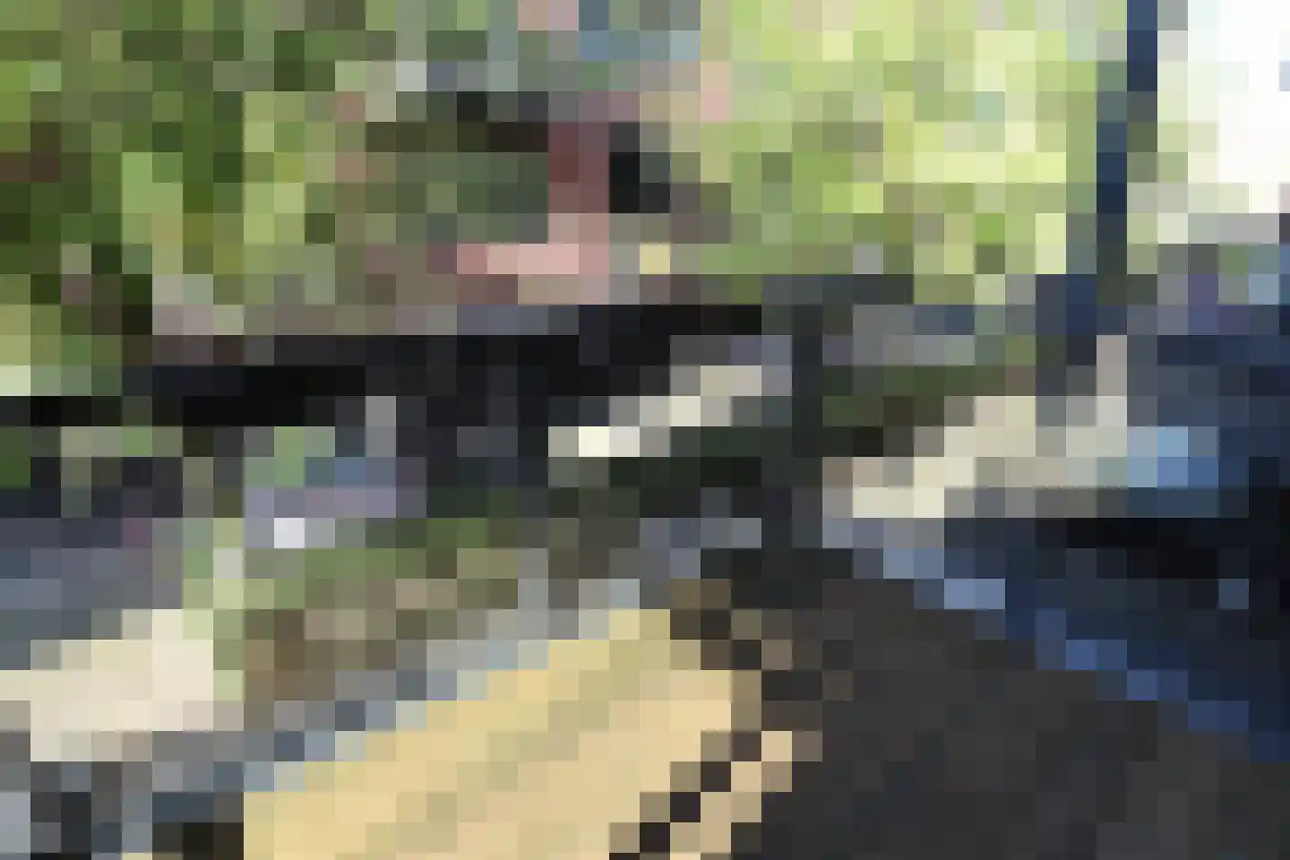 Donkvaart 9 B5 Breda thumbnail 17