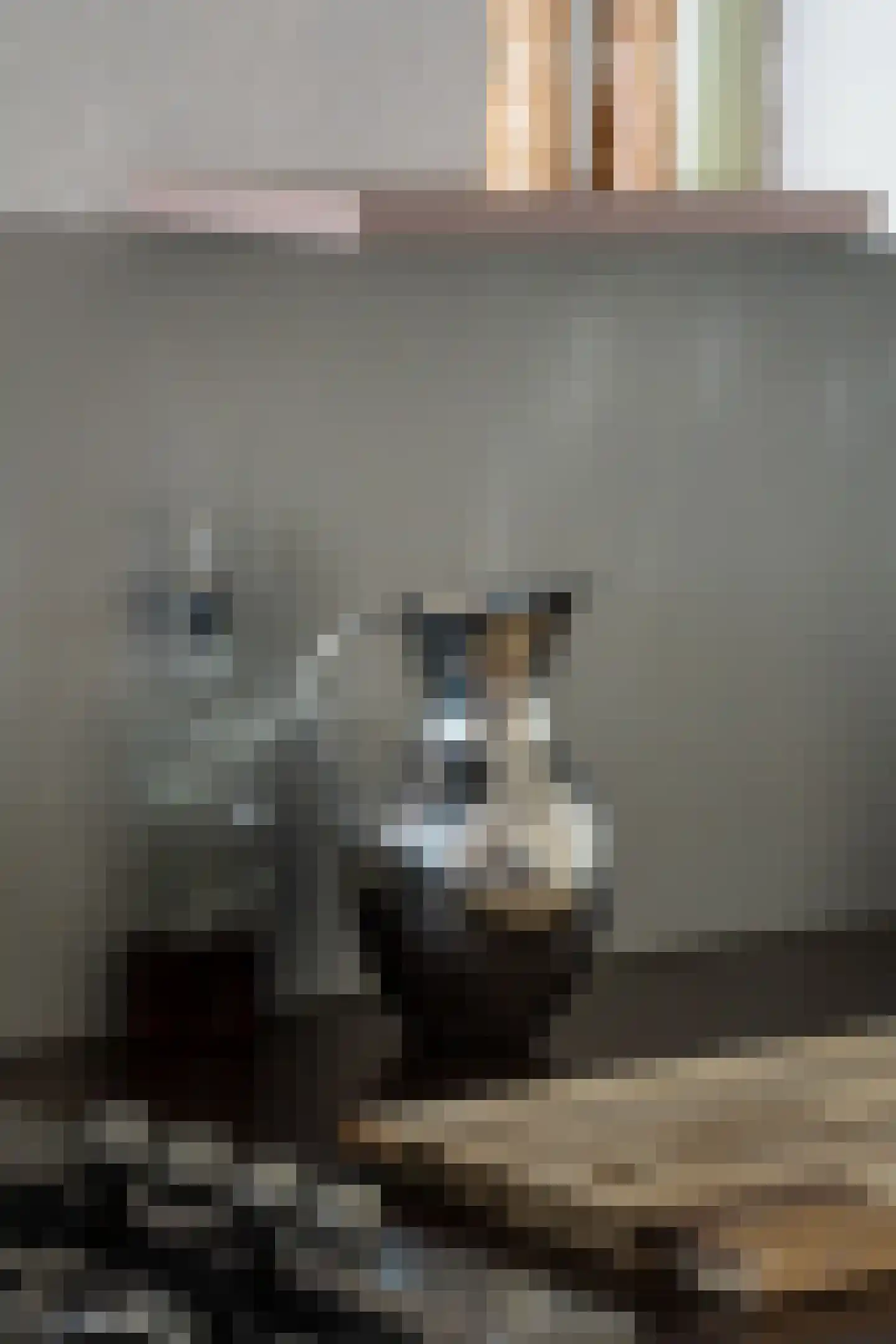 Donkvaart 9 C11 Breda thumbnail 34