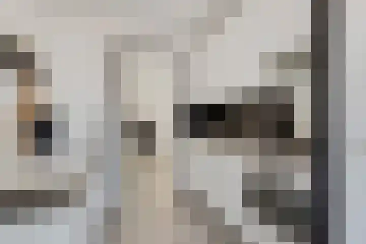 Donkvaart 9 D15 Breda thumbnail 15