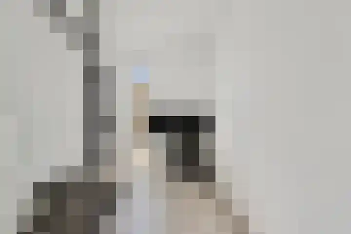 Donkvaart 9 D15 Breda thumbnail 17