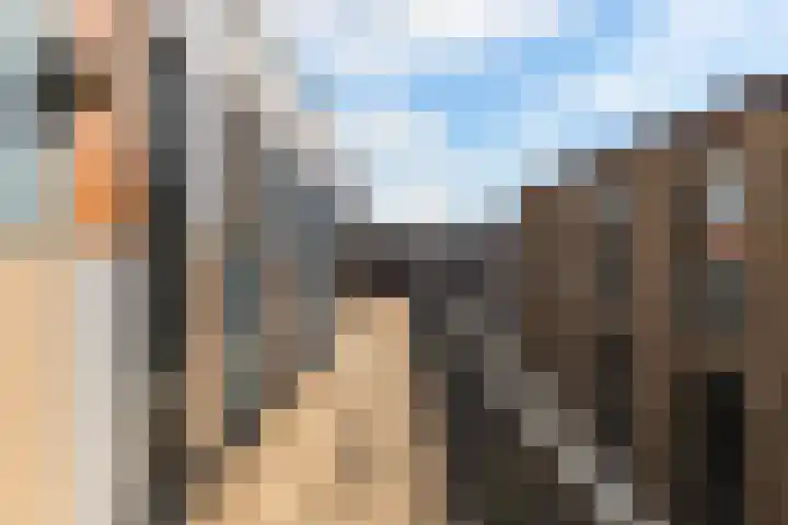 Donkvaart 9 D15 Breda thumbnail 26