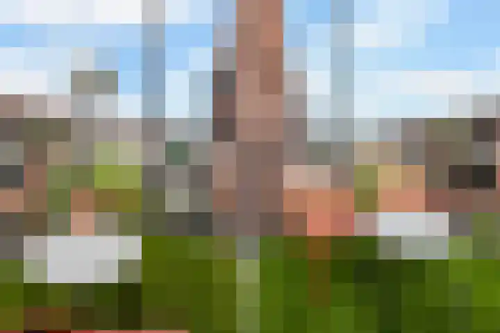 Donkvaart 9 D16 Breda thumbnail 19