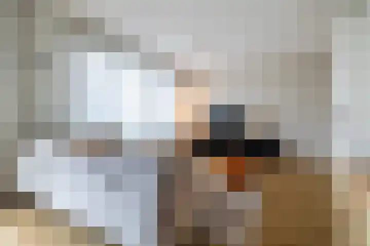 Donkvaart 9 D16 Breda thumbnail 8